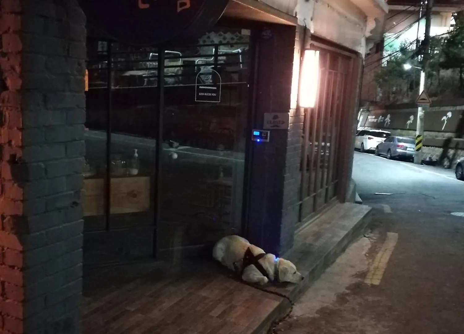 Newly Renovated 2 Bedroom Apartment #7 Seoul