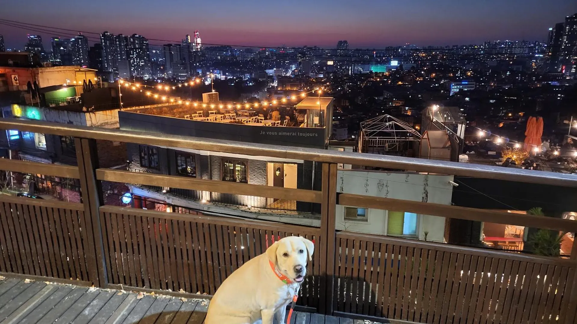 Newly Renovated 2 Bedroom Apartment #7 Seoul