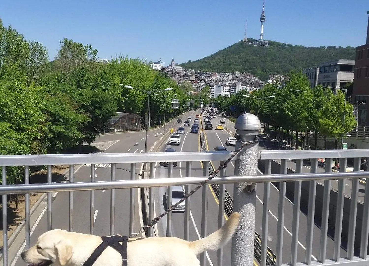 Newly Renovated 2 Bedroom Apartment #7 Seoul