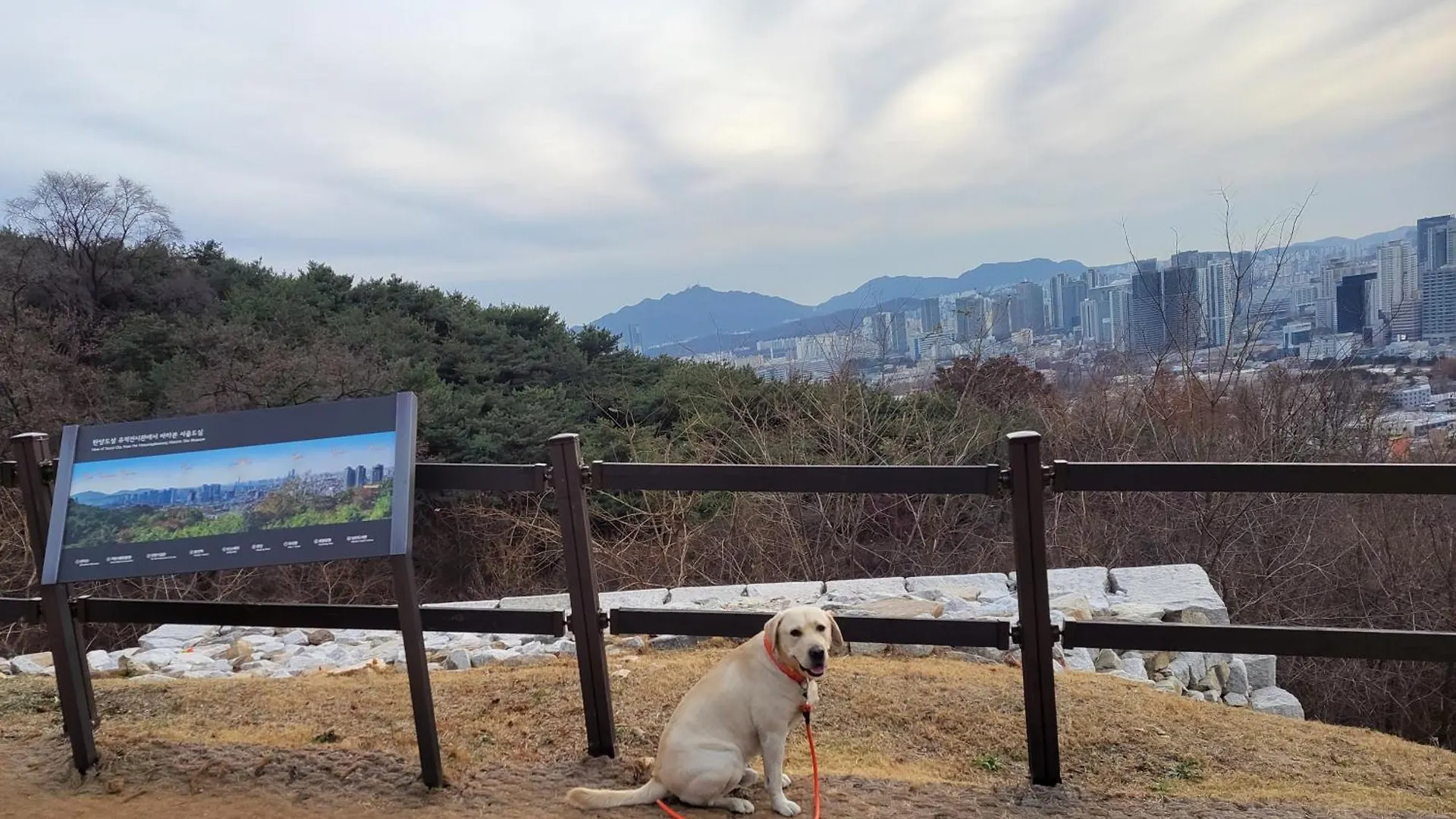 Newly Renovated 2 Bedroom Apartment #7 Seoul