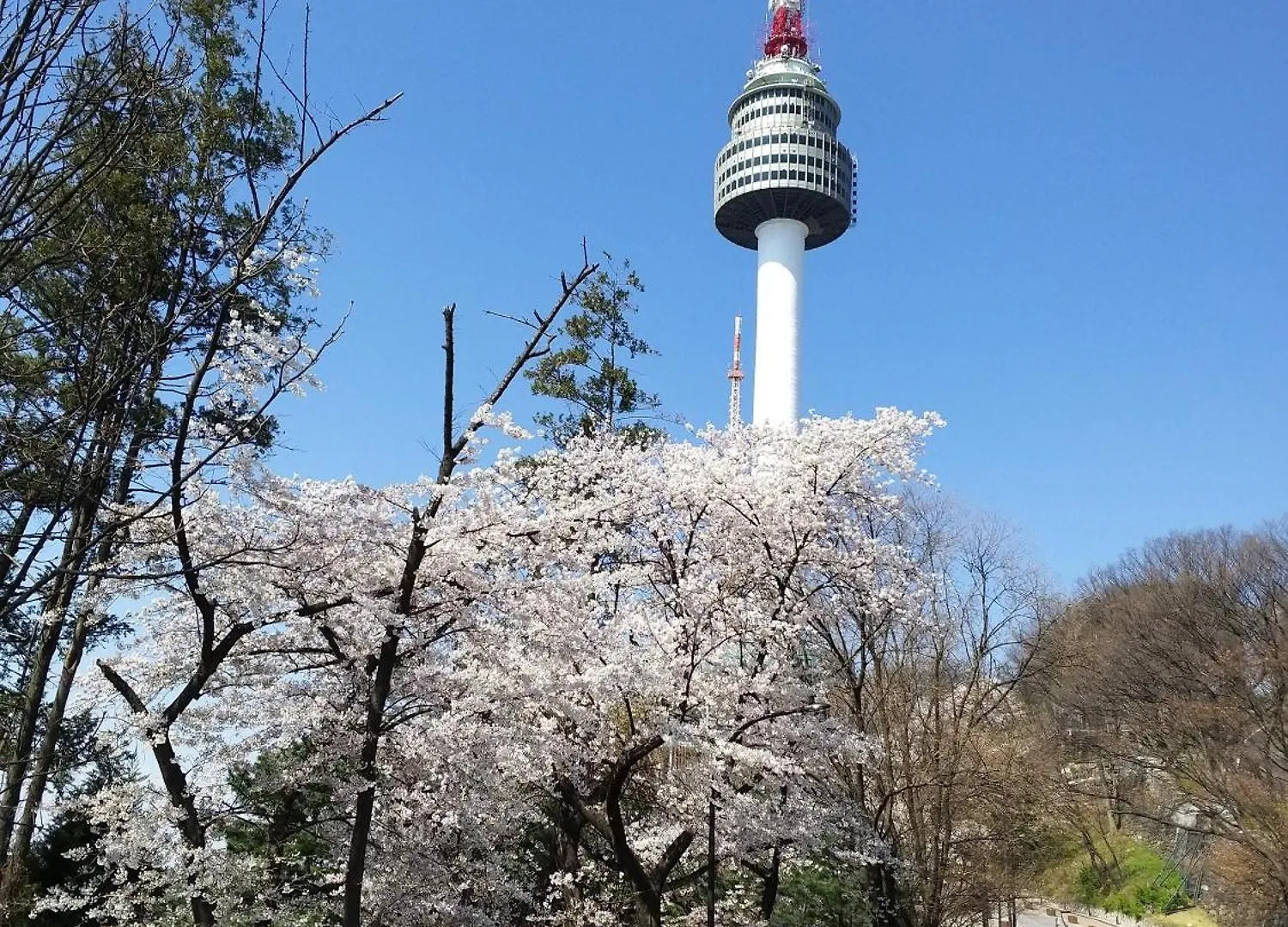 Newly Renovated 2 Bedroom Apartment #7 Seoul